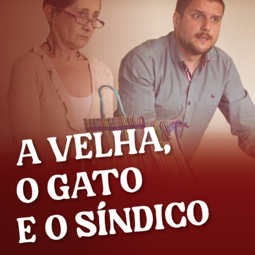 A velha, o gato e o síndico - acesso 72h